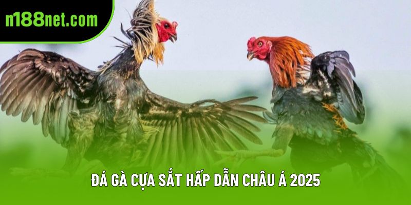 Đá Gà Cựa Sắt N188 - Sân Chơi Hấp Dẫn Hàng Đầu Châu Á 2025
