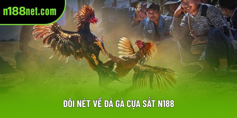 Đôi nét về đá gà cựa sắt N188 Đôi nét về đá gà cựa sắt N188