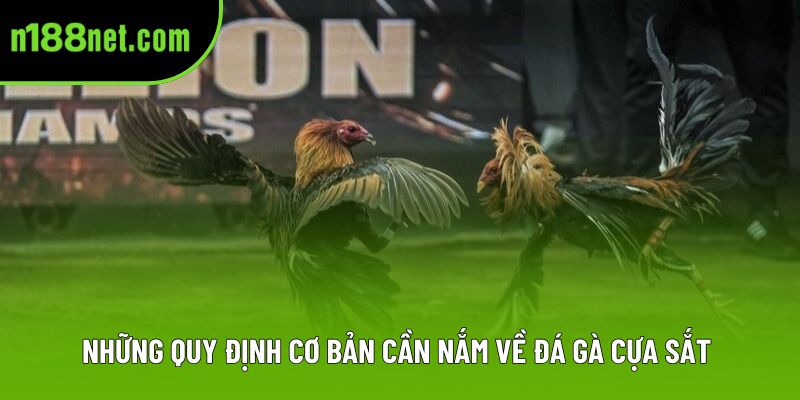 Những quy định cơ bản cần nắm về đá gà cựa sắt Những quy định cơ bản cần nắm về đá gà cựa sắt